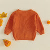 Toddler Halloween Embroidered Knit Sweater