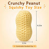 Peanut Sensory Fidget Toy