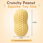 Peanut Sensory Fidget Toy