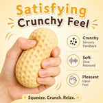 Peanut Sensory Fidget Toy