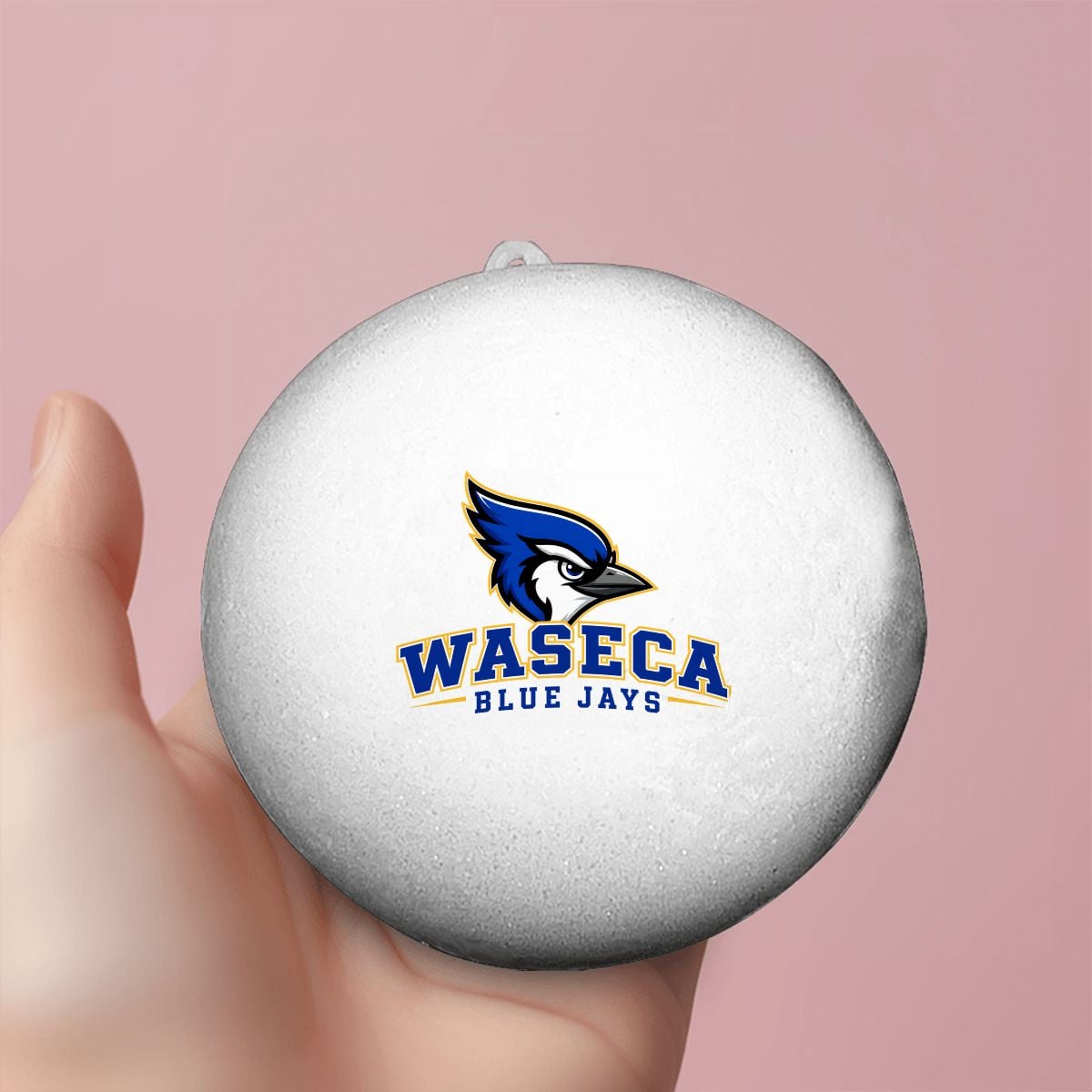 Bluejay Squishy